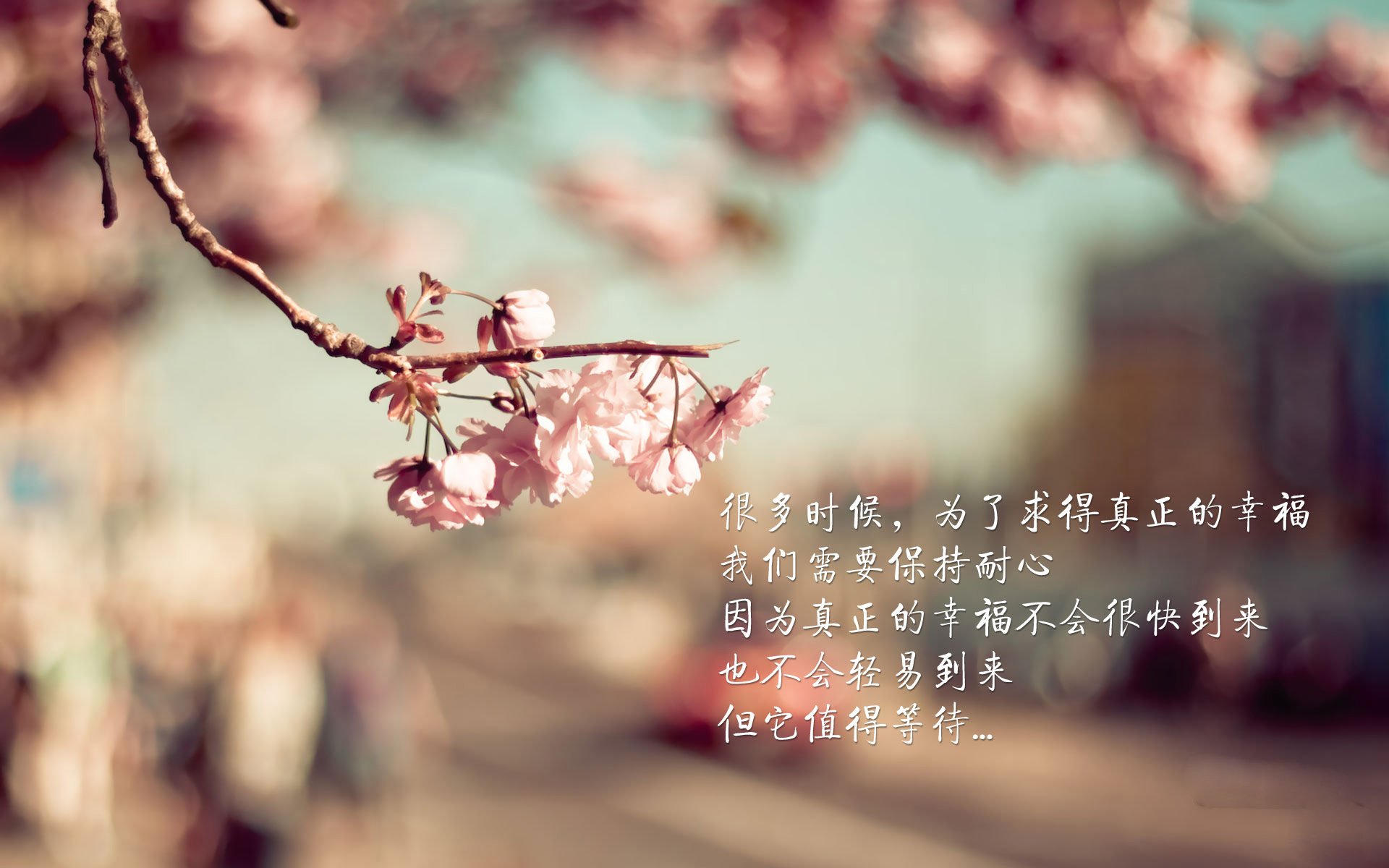热火球迷期待球队在休赛期进行积极操作，热火队球星