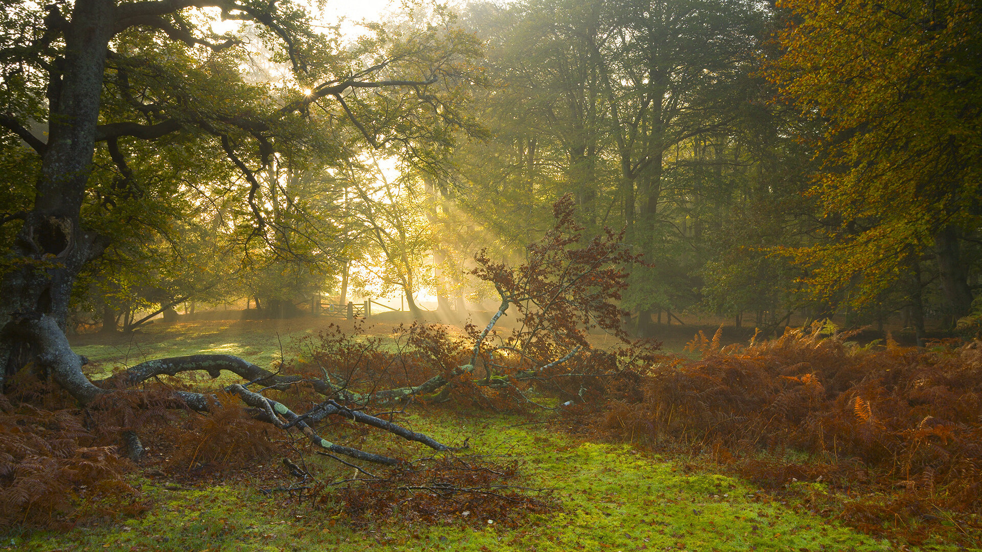CBA官方公布下赛季比赛日程，cba赛程2021下半年