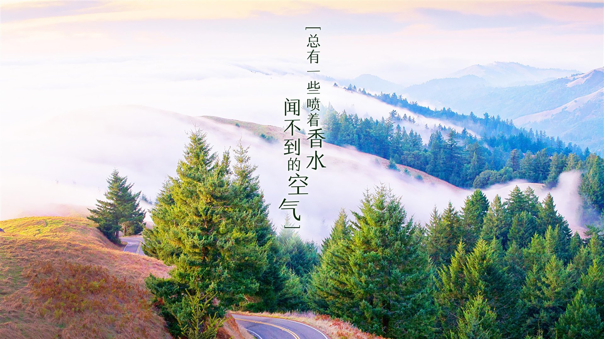 爱游戏在线登录入口-中国女篮核心球员表现抢眼 引领球队节奏，中国女篮人物介绍