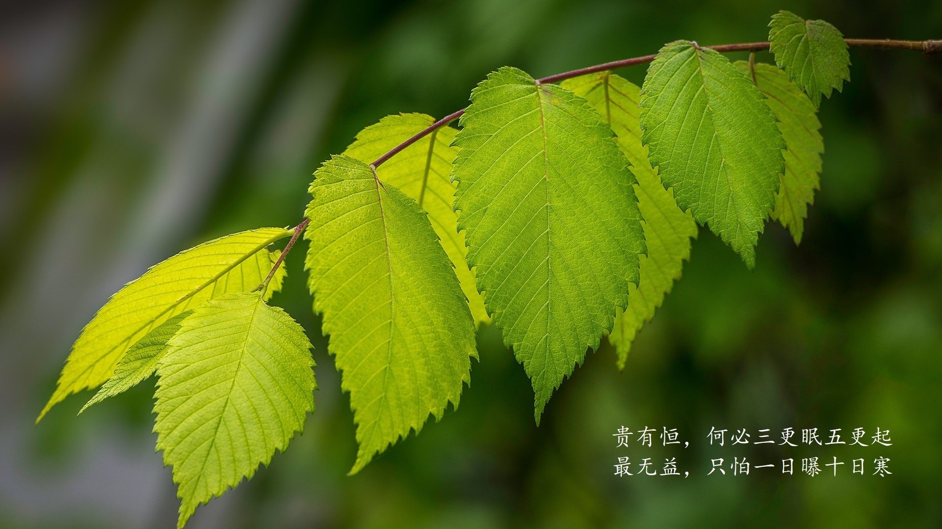 爱游戏平台-中超联赛打造联名球票系统提升观赛纪念价值，中超联赛票价多少