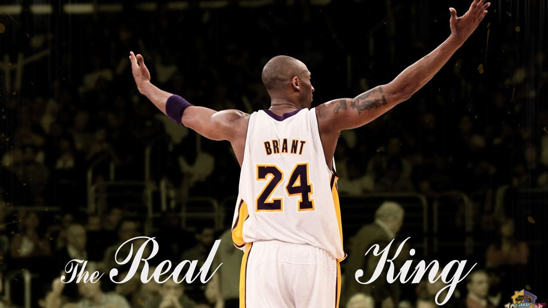 爱游戏在线登录入口-球场秀技：明星球员的炫技合集，球星的绝技